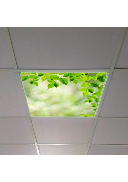 60X60 LED Panel Aydınlatma Armatür Avize Sıva Altı Desenli Tekli 46510403SA