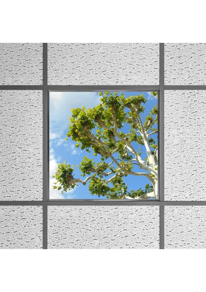 60X60 LED Panel Aydınlatma Armatür Avize Sıva Altı Desenli Tekli 46510489SA