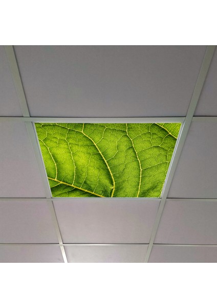60X60 LED Panel Aydınlatma Armatür Avize Sıva Altı Desenli Tekli 46510354SA