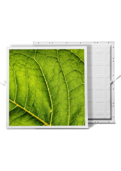 60X60 LED Panel Aydınlatma Armatür Avize Sıva Altı Desenli Tekli 46510354SA