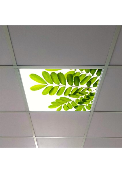60X60 LED Panel Aydınlatma Armatür Avize Sıva Altı Desenli Tekli 46510357SA