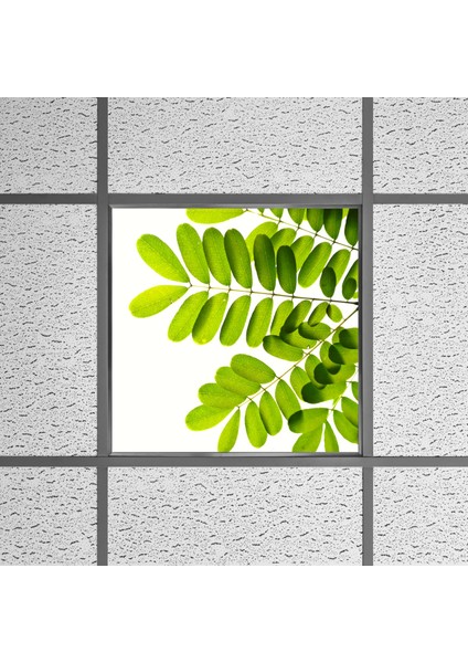 60X60 LED Panel Aydınlatma Armatür Avize Sıva Altı Desenli Tekli 46510357SA