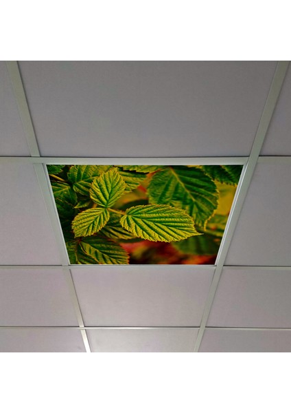 60X60 LED Panel Aydınlatma Armatür Avize Sıva Altı Desenli Tekli 46510369SA