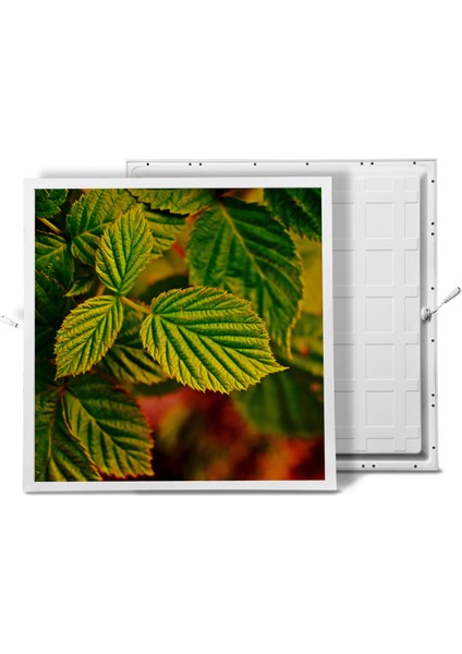 60X60 LED Panel Aydınlatma Armatür Avize Sıva Altı Desenli Tekli 46510369SA