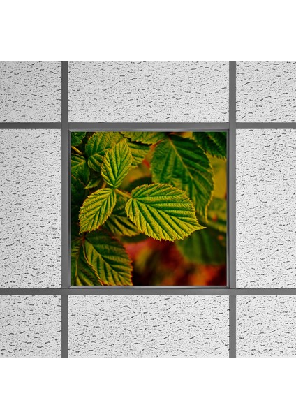 60X60 LED Panel Aydınlatma Armatür Avize Sıva Altı Desenli Tekli 46510369SA