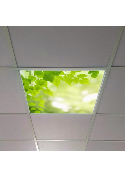 60X60 LED Panel Aydınlatma Armatür Avize Sıva Altı Desenli Tekli 46510467SA