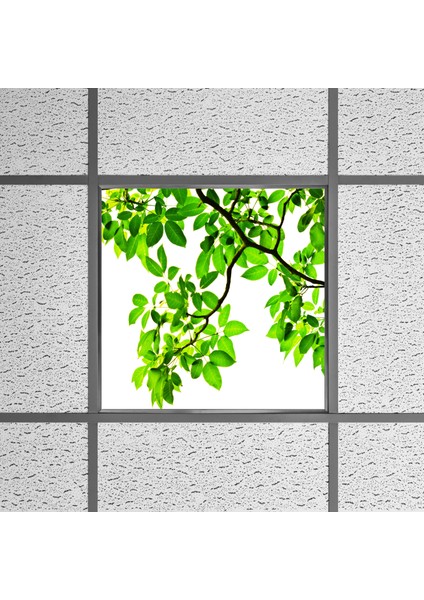 60X60 LED Panel Aydınlatma Armatür Avize Sıva Altı Desenli Tekli 46510499SA