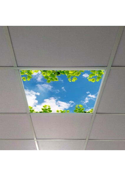 60X60 LED Panel Aydınlatma Armatür Avize Sıva Altı Desenli Tekli 46510388SA