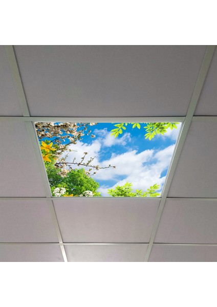 60X60 LED Panel Aydınlatma Armatür Avize Sıva Altı Desenli Tekli 46510428SA