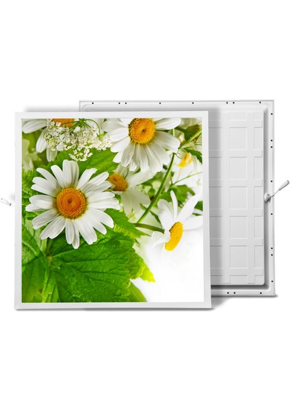 60X60 LED Panel Aydınlatma Armatür Avize Sıva Altı Desenli Tekli 46510358SA