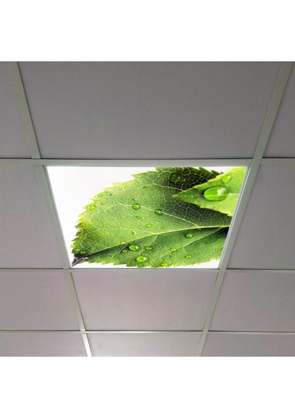 60X60 LED Panel Aydınlatma Armatür Avize Sıva Altı Desenli Tekli 46510364SA