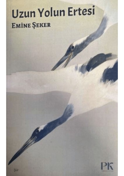 Uzun Yolun Ertesi - Emine Şeker