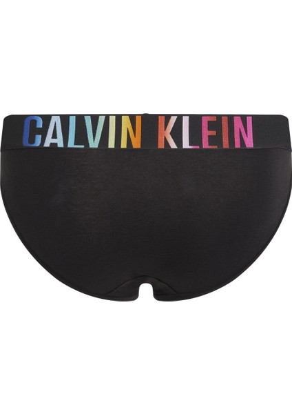 Siyah - Çok Renkli Kadın Bikini Külot 000QF7835E