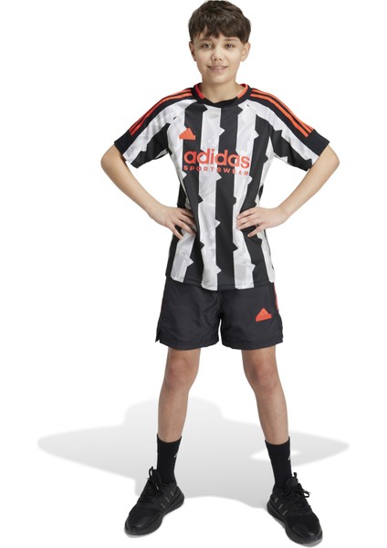 Lastikli Bel Normal Siyah Kadın Şort IV7105-J Hot Wv Short