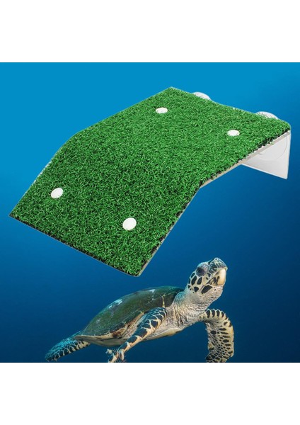 Yanıönen Kaplumbağ Platformu Akvaryum Dekorasyon Kaplumbağı Akvaryum Sürüngen Su Deposu Dekorasyon, 12X20X5.2 cm (Yurt Dışından) fırsatları