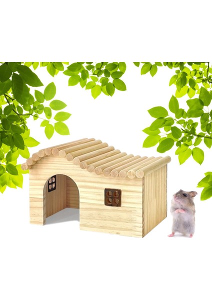 Ini Hamster Ahş Tırmanma Hideout M Için Anti-Ite (Yurt Dışından)