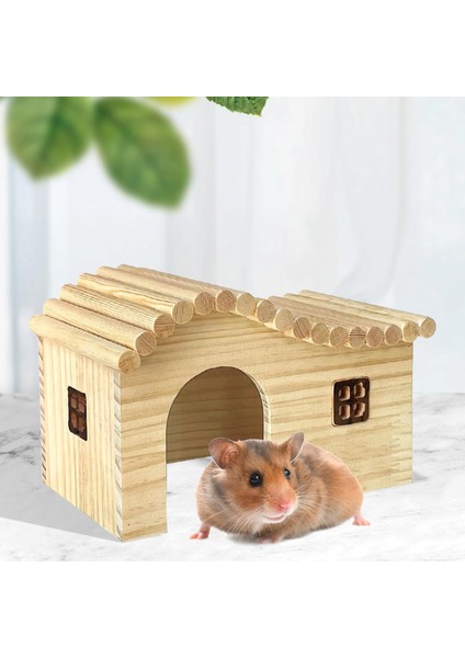 Ini Hamster Ahş Tırmanma Hideout M Için Anti-Ite (Yurt Dışından)