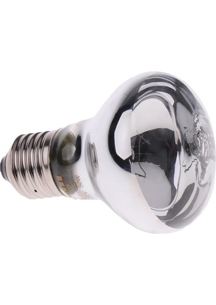 Kızı Evcil Isıtıcısı Kış Isıtıcısı 50W (Yurt Dışından)