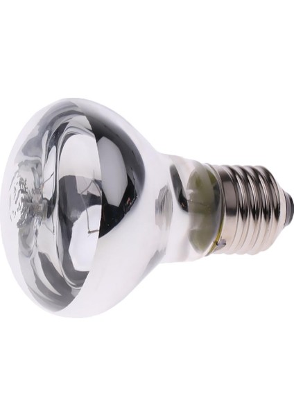Kızı Evcil Isıtıcısı Kış Isıtıcısı 50W (Yurt Dışından)