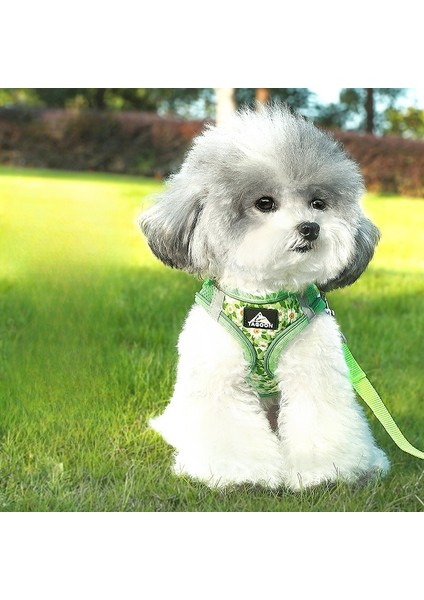 Ayrılmayı Önleyen, Nefes Alabilen Küçük ve Orta Boy Köpek Koşum Takımı, Yansıtıcı Geri Çekilebilir Köpek Tasması (Yurt Dışından)