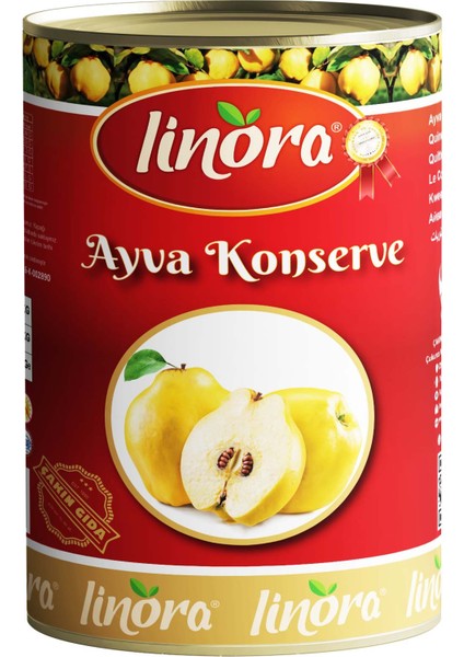 Ayva Konserve 5kg/1 Teneke