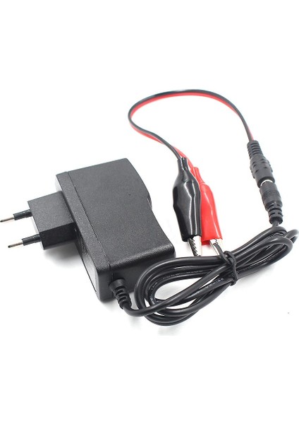 12V 1000MA Kurşun Asit Kuru Akü Şarj Adaptörü Akü Takviye Cihazı Soketli Krokodilli
