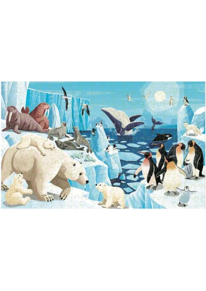 Save The Planet - The Poles modelleri