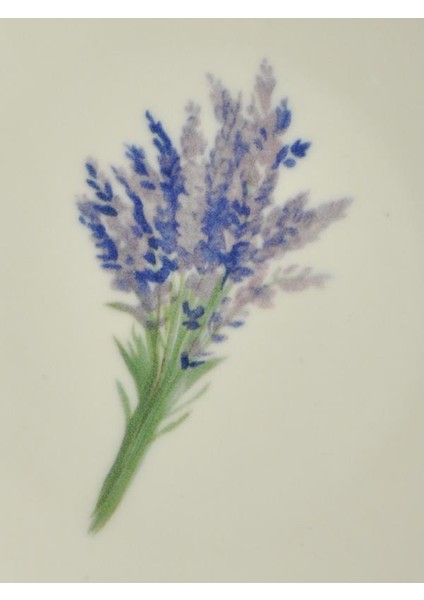 Sipahi Lavanta 6 Li Porsenel Pasta Tabağı 19 cm fiyatları