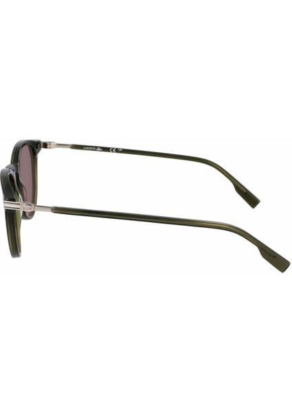 L 6034S 275 51 Unisex Oval Şeffaf Yeşil Kemik Güneş Gözlüğü modelleri
