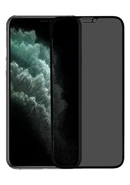 For Apple iPhone 11 Pro Max - Xs Max (6.5") Logis Full-Screen Privacy Mat Görünmez Hayalet