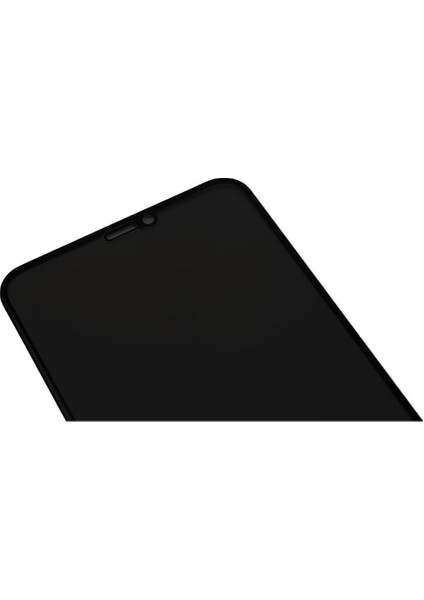 For Apple iPhone 11 Pro Max - Xs Max (6.5") Logis Full-Screen Privacy Mat Görünmez Hayalet