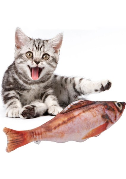 Kedi Oyuncağı