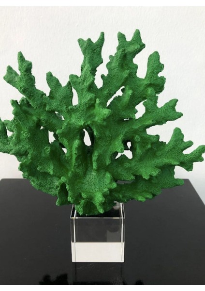 Kristalli Mercan Aksesuar