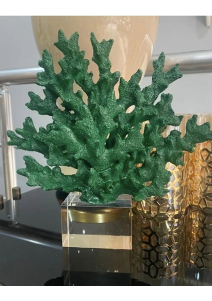 Kristalli Mercan Aksesuar fiyatları