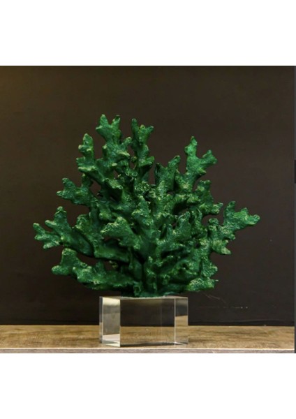 Kristalli Mercan Aksesuar modelleri