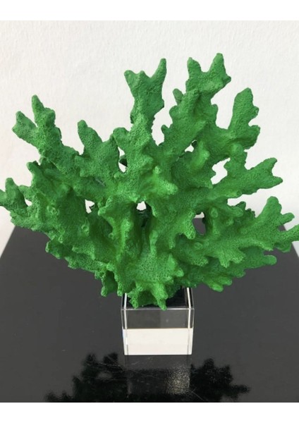 Kristalli Mercan Aksesuar fırsatları