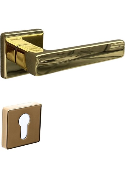 Fosıl Rozetli Kapı Kolu Gold Yale