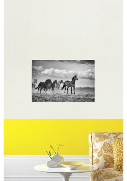 Brumby ve Sürü Tablo Ahşap Poster Dekoratif fiyatları