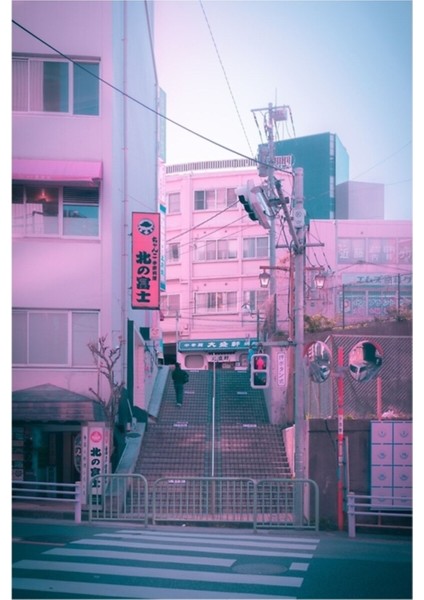 Vaporwave Estetik Tokyo Pembe Japonya Citypop Lofi Karamsar Vibe Tablo Ahşap Poster Dekoratif