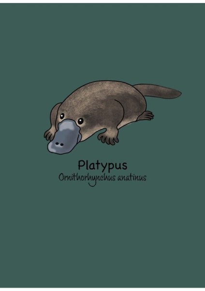 Avustralya'nın Nesli Tükenmekte Olan Hayvanları - Platypus (Ornithorhynchus Anatinus) Ahşap Poster