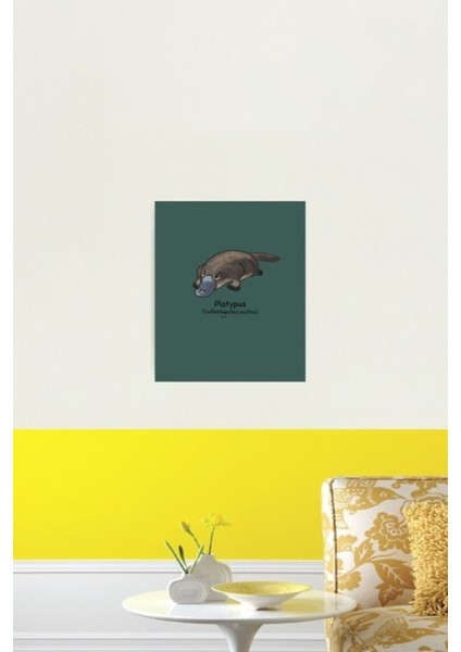 Avustralya'nın Nesli Tükenmekte Olan Hayvanları - Platypus (Ornithorhynchus Anatinus) Ahşap Poster
