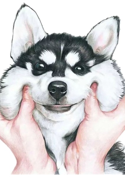 Husky Tablo Ahşap Poster Dekoratif