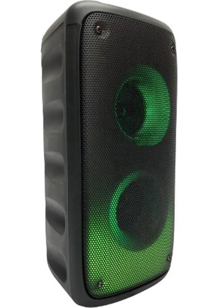 BTS1379 Karaoke Box Kablosuz Hoparlör - Speaker