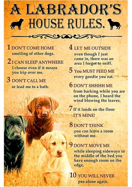 Bir Labrador'd Evi Kuralları Tablo Ahşap Poster Dekoratif