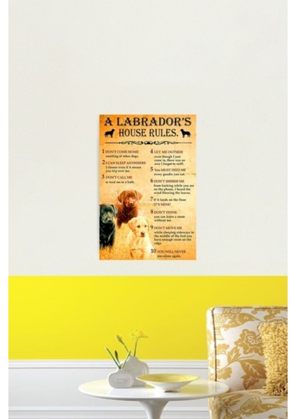 Bir Labrador'd Evi Kuralları Tablo Ahşap Poster Dekoratif fiyatları