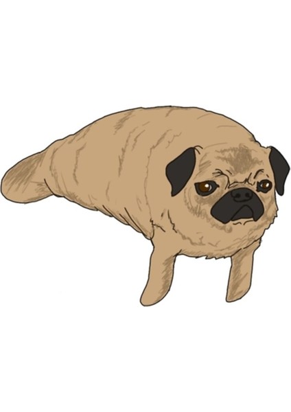 Pug Köpek Denizayısı Sanatı Tablo Ahşap Poster Dekoratif