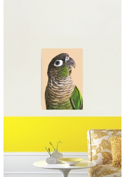 Yeşil Yanak Conure Tablo Ahşap Poster Dekoratif