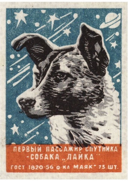 Köpek Laika - Sovyet Uzay Sanatı, Sscb Kibrit Kutusu Tasarımı, 1957 Tablo Ahşap Poster Dekoratif