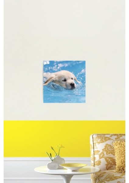 Sevimli Köpek Yavrusu Labrador Yüzme Tablo Ahşap Poster Dekoratif