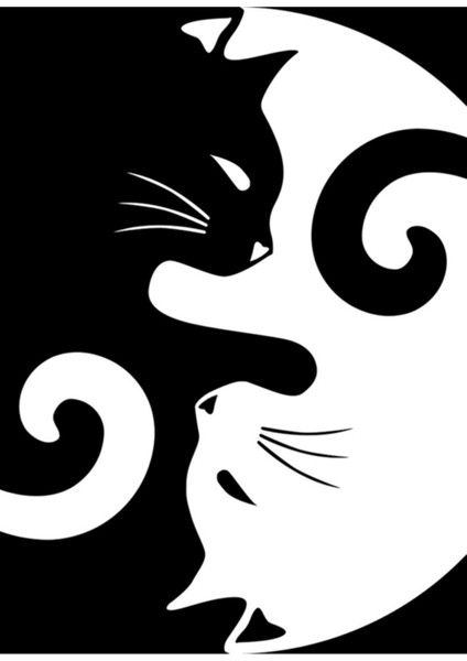 Ying Yang Kedileri - Siyah Beyaz Tablo Ahşap Poster Dekoratif